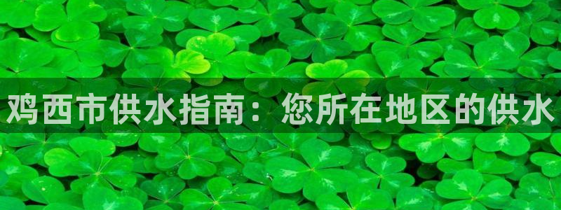QY球友会官网