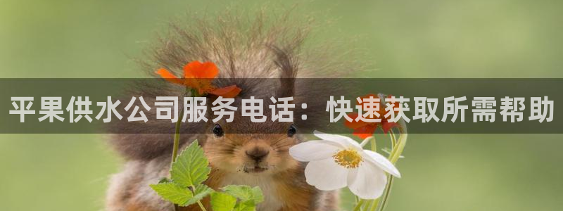 球友会体育app下载官网安卓