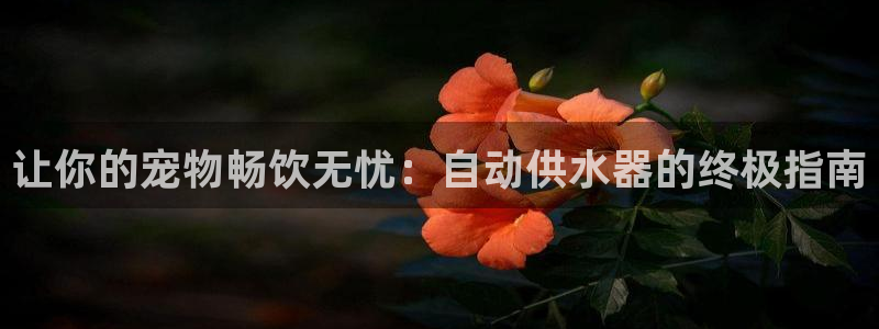 QY球友会官网