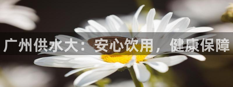 球友会app安全吗可靠吗是真的吗