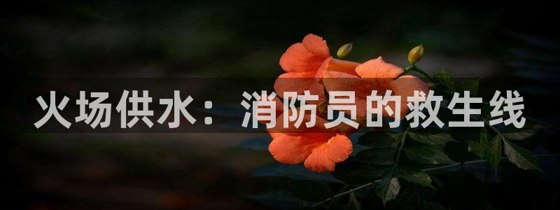 球友会登录不上的原因