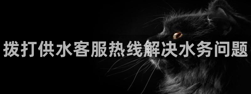 关键词