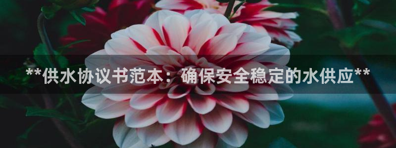 球友会友谊赛7月28日曼联阿森纳