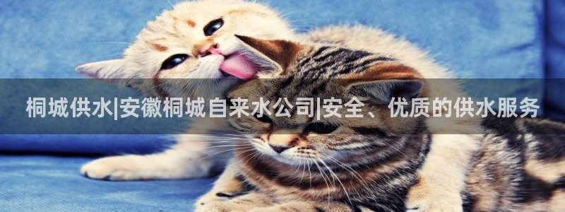 球友会是不是大平台