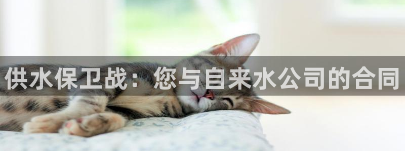 球友会怎么样