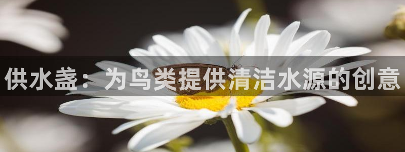球友会app官网下载安卓