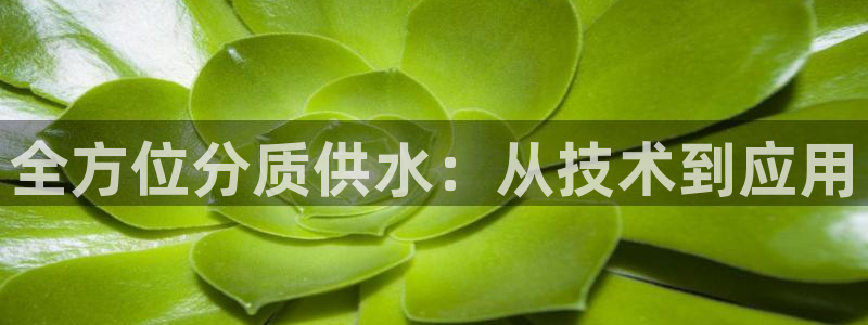 球友会破解码