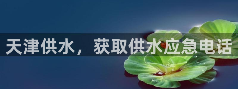 球友会app网址