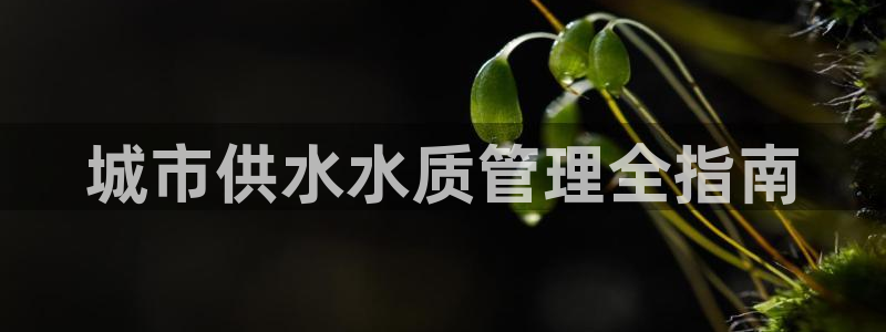 球友会体育