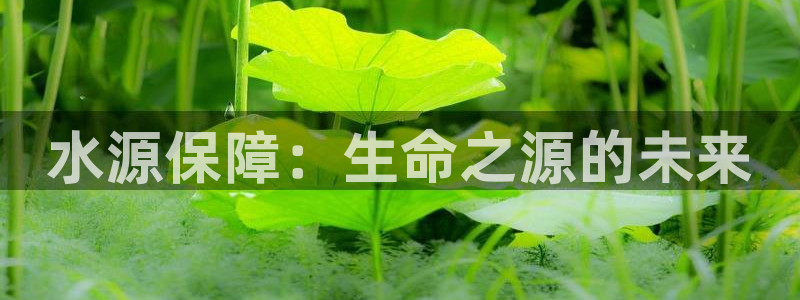 球友会娱乐