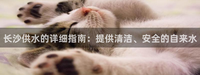 球友会比赛结果查询系统